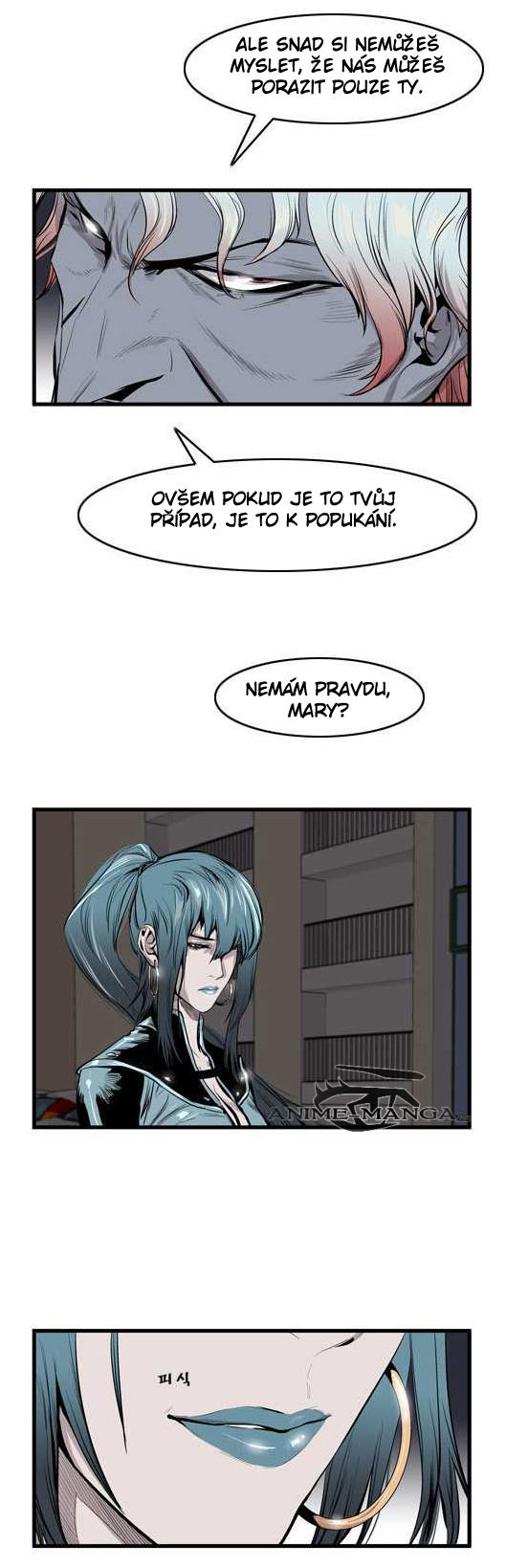 11 kopie.jpg